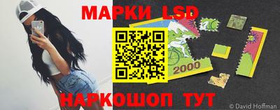 Альфа ПВП Ачхой-Мартан