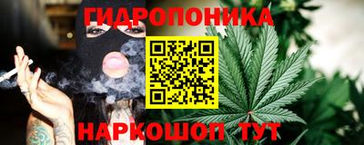 Альфа ПВП Ачхой-Мартан