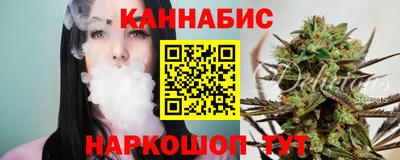 Альфа ПВП Ачхой-Мартан