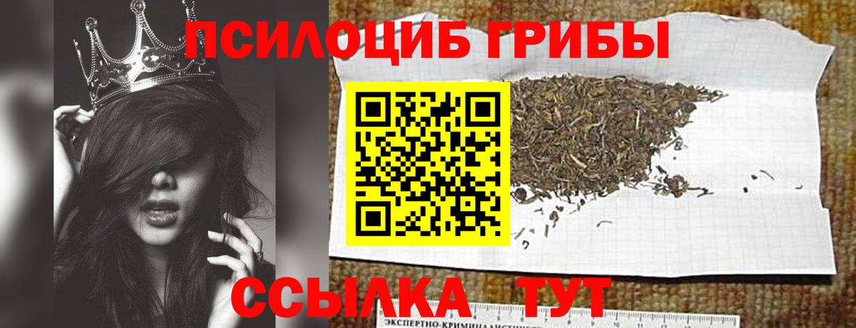 как найти   Псилоцибиновые грибы прущие грибы  Вход с VPN  Боровичи 